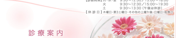 �f�Èē�-�_�ސ쌧 ���s ���Ë� �Y�w�l�� �w�l�� �Y�� �n�^�J�Y�R�w�l�N���j�b�N