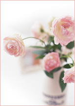 �l�H�D�P���� �n�^�J�Y�R�w�l�N���j�b�N�b�_�ސ쌧�@���s�@���Ë�@�Y�w�l�ȁ@�w�l�ȁ@�Y��