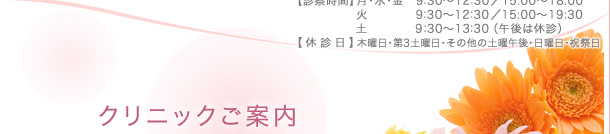 �N���j�b�N���ē�-�_�ސ쌧 ���s ���Ë� �Y�w�l�� �w�l�� �Y�� �n�^�J�Y�R�w�l�N���j�b�N